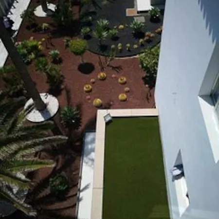 Bonito Vistal Bristol Sunset Corralejo