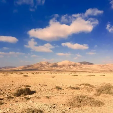 Bonito Vistal Bristol Sunset Corralejo