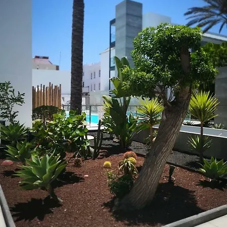 Bonito Vistal Bristol Sunset