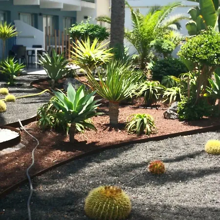 Bonito Vistal Bristol Sunset Daire